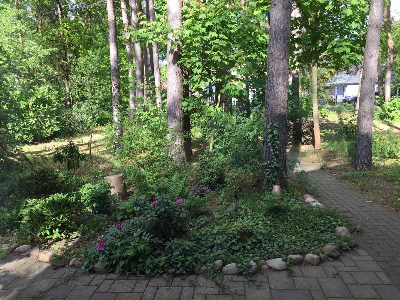 Wald Und Wohlsein Villa เบลิทซ์ ภายนอก รูปภาพ